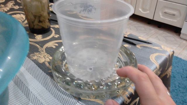 Размножение орхидей))Кейки.Продолжение. смотреть онлайн