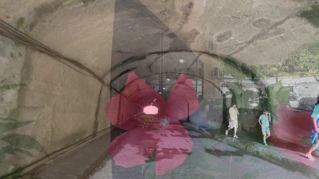 Летний каникулы Часть 2. Кайфуем в непринужденной обстановке. смотреть онлайн