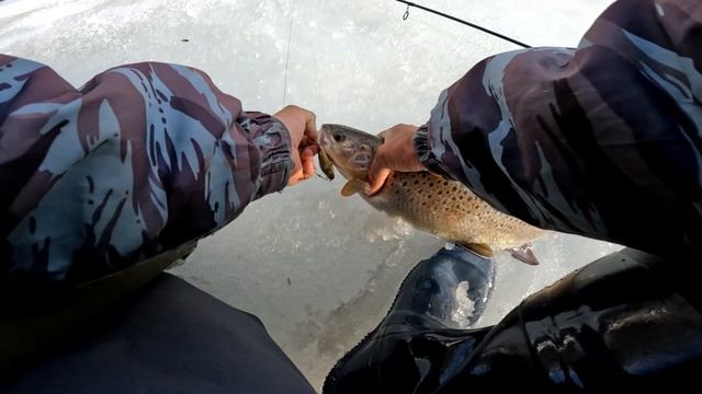Горная Рыбалка на тайменя весной. Ловля крупного тайменя. Ловля тайменя в Сибири | 2 ЧАСТЬ смотреть онлайн