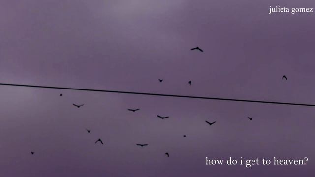 nikon b500 смотреть онлайн