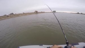 Ловля судака на мандулы осенью. "Судаковый жор-4" Рыбалка в Астрахани. Terminator Shad Jigger 240