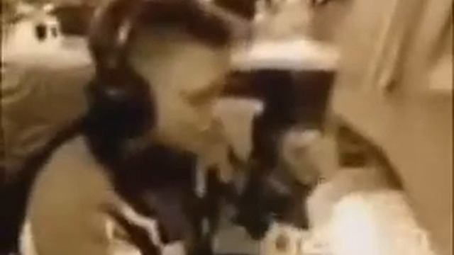 то чувство когда застрелил 3 немца😊 смотреть онлайн