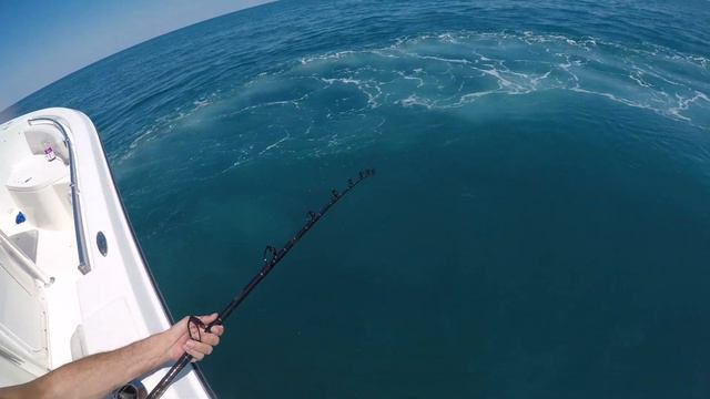 12 foot shark April 24 2019 смотреть онлайн