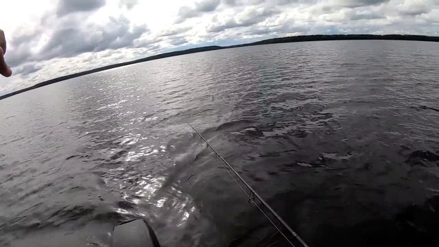 ГДЕ СТОИТ РЫБА ОСЕНЬЮ! Рыбалка на щуку в дали от берега. смотреть онлайн