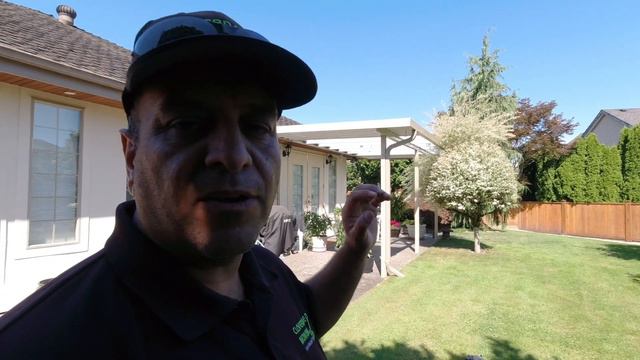 Tree Trimming Gone Wrong! Attacked by Bald Faced Hornets | How To Trim A Dappled Willow Tree смотреть онлайн