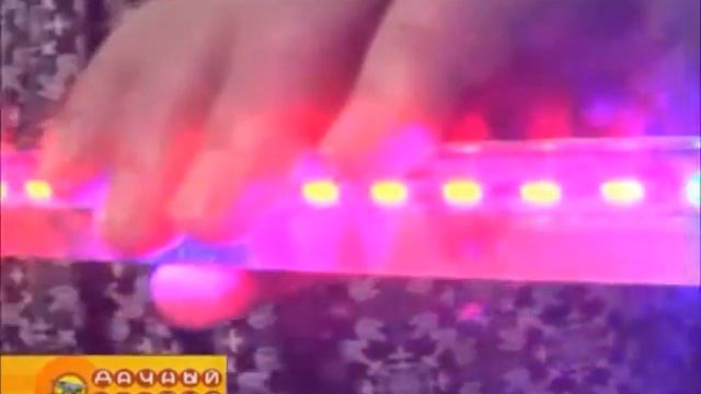 Светодиодные фитолампы смотреть онлайн