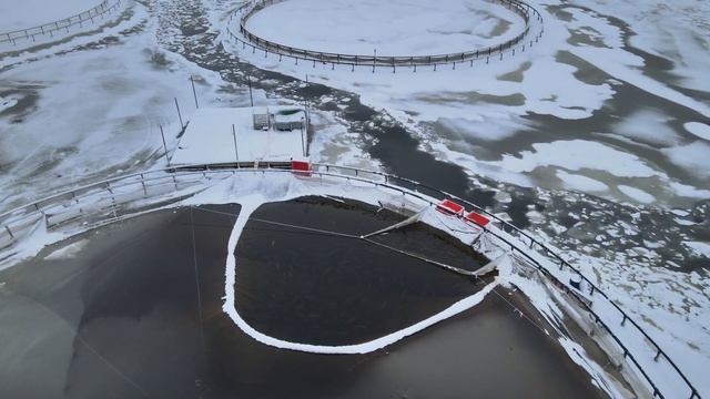 08.02.2022 Умершая рыба в садках ООО Лафор смотреть онлайн
