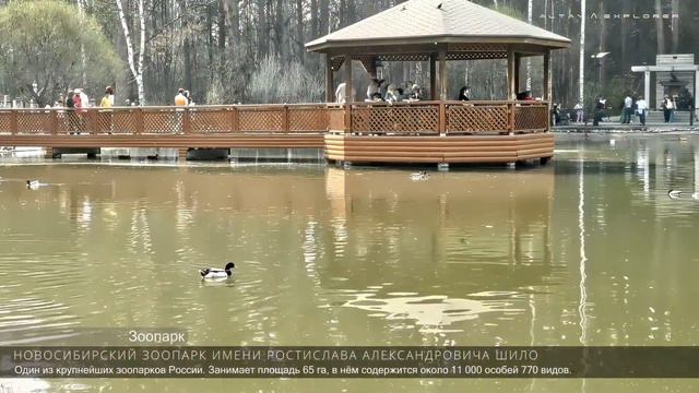 NOVOSIBIRSK | TRANSIT II 4К 60FPS смотреть онлайн