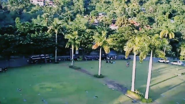 SG906 Max/XiL 193 Max Speed transition edit смотреть онлайн