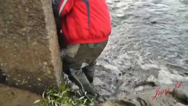 На озере летом. Брянск смотреть онлайн