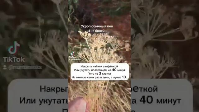 Высокое давление. Проблемы с пищеварением. СПАЗМЫ смотреть онлайн