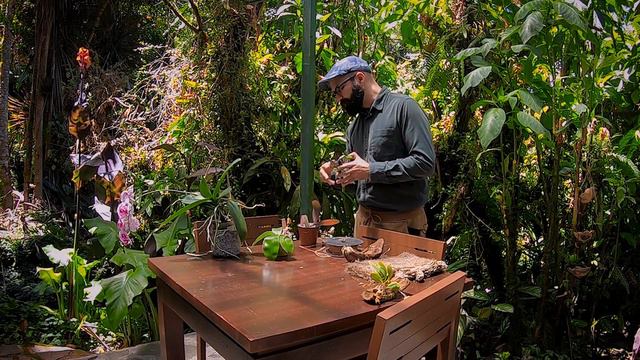 Siembra Vertical de Phalaenopsis | Finca Dracula смотреть онлайн