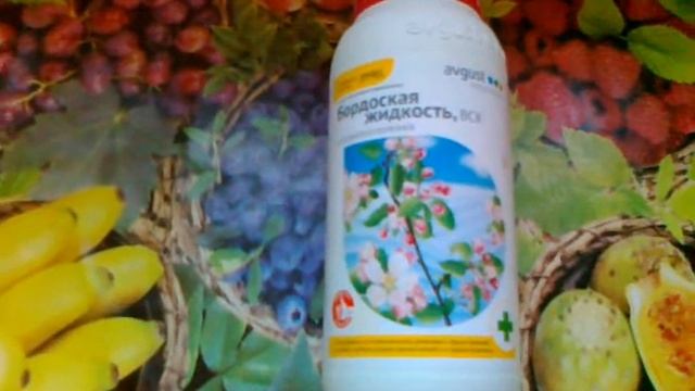 Бордосская жидкость. Преимущества перед другими. смотреть онлайн