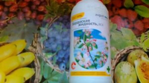 Бордосская жидкость. Преимущества перед другими.