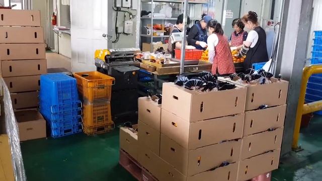 JMC1-MANUAL PACKING PROCESS EXAMPLE смотреть онлайн