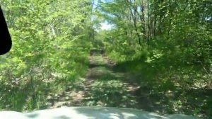 Suzuki XBee. Окологородские путешествия  Испытание песком и лесной дорогой