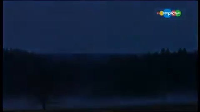 Микроистория. Как паук плетёт паутину. смотреть онлайн