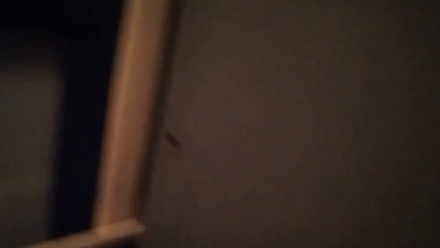 ОБЗОР ПОЕЗДА 501 КИРОВ-НИЖНИЙ-НОВГОРОД-АНАПА. смотреть онлайн