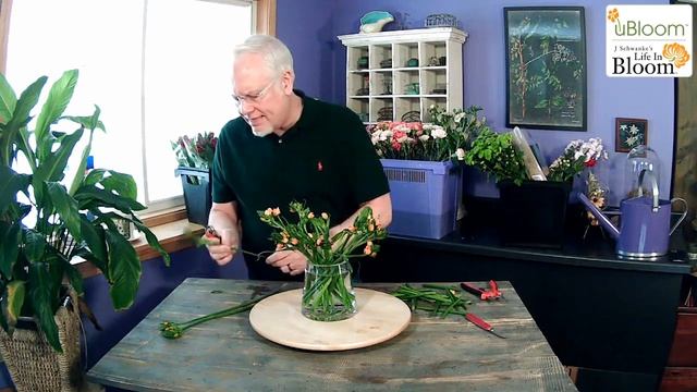 Orange Ornithogalum and Jelly Carnation Vase- LIVE with J смотреть онлайн