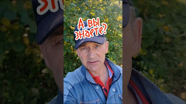 Ваш мобильный телефон, поможет вам, рассчитаться со всеми долгами. Хочеш, узнать как? смотреть онлайн