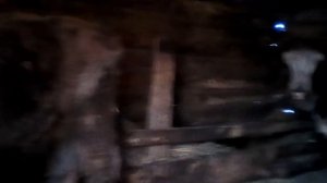 Выход мяса в 1,5 года/ сколько килограмм чистого мяса/ телка на мясо/meat yield in a bull.