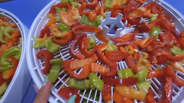 Сушеный перец. Приправа ПАПРИКА. КАК СУШИТЬ ПЕРЕЦ в электросушилке смотреть онлайн