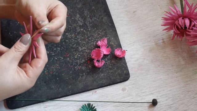 Spider Gerbera Part 1 смотреть онлайн