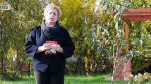 Железный купорос | сульфат железа | обработка сада железным купоросом