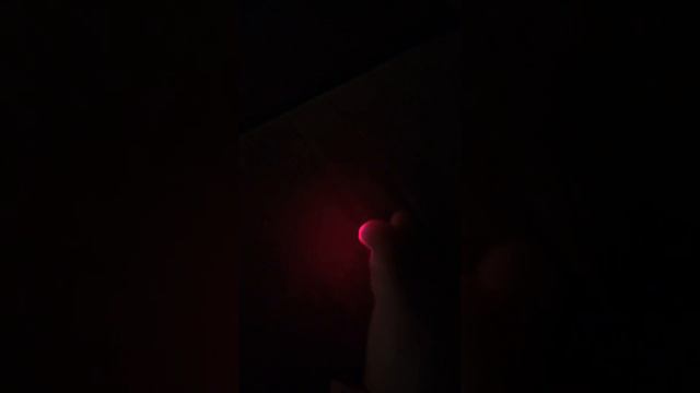 Chihuahua laser show!! смотреть онлайн