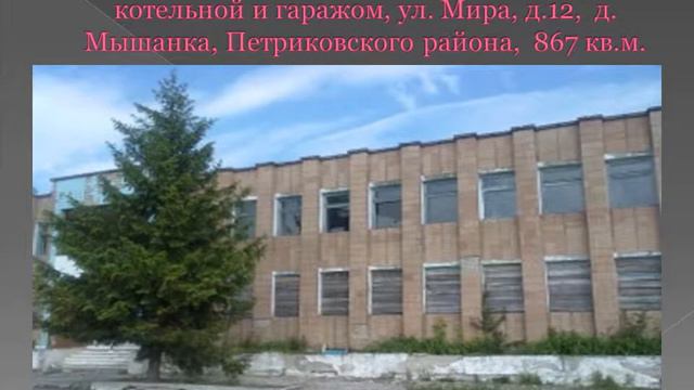 Перечень неиспользуемых объектов Петриковского района - к продаже в 2017 г. за базовую величину смотреть онлайн