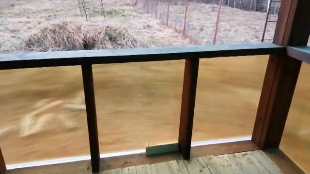 Улучшение. Часть 1. Веранда.