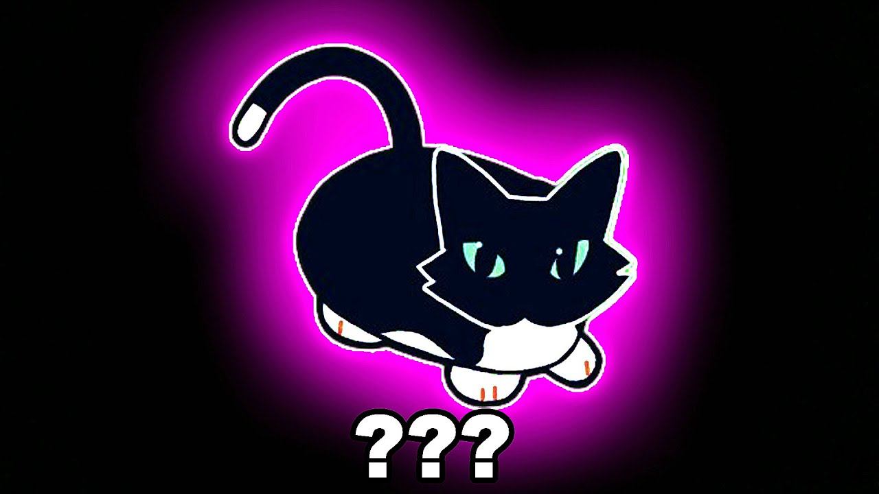 10 Maxwell Cat Sound Variations In 1 Minute