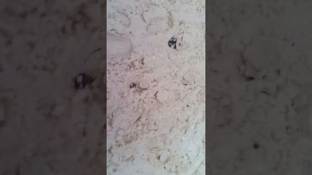 Администрация северного округа города Оренбурга смотреть онлайн