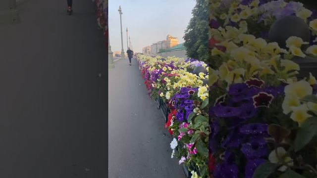 Цветник на мосту смотреть онлайн