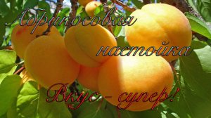 Абрикосовая настойка