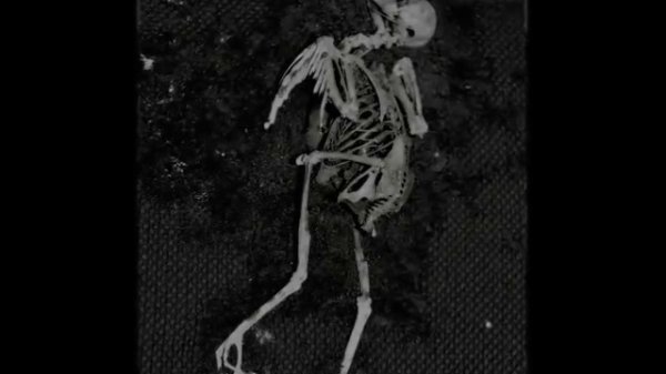 Dead Can Dance - Cantara