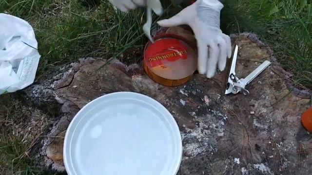 Сюрстремминг челлендж часть 2 смотреть онлайн