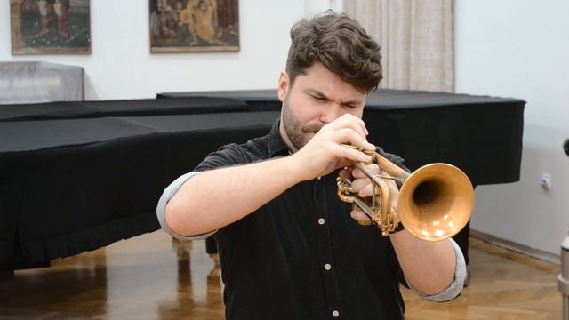 Ivan Radivojević - Body And Soul (Johnny Green) смотреть онлайн