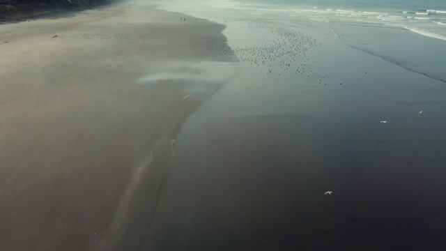 La Push beach near Olympic National Park смотреть онлайн