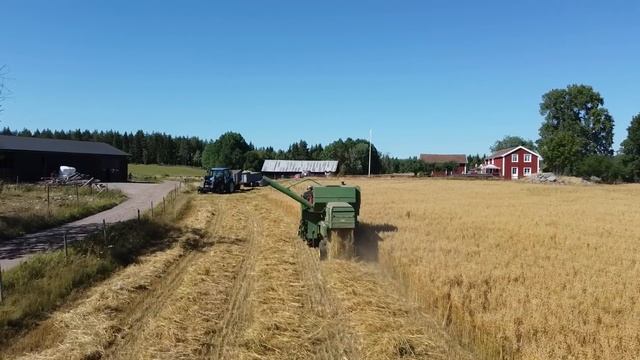 Tröskningen börjar i Småland med Volvo bm 800 ||Bondevloggen|| смотреть онлайн