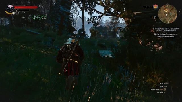 The Witcher 3: Wild Hunt Playthrough 050 смотреть онлайн