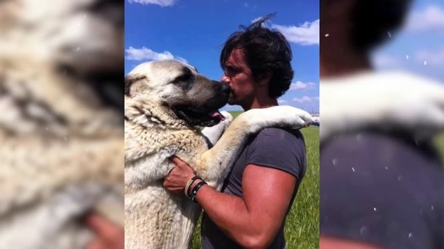 Как Живёт Ибрагим Челиккол (Ibrahim Celikkol) и Сколько Он Зарабатывает