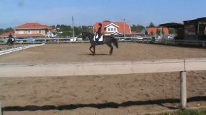 Конный спорт, выездка, соревнования