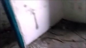 ЧЕРДАЧНЫЙ ПОИСК   ВОТ ТАК БЫВАЕТ