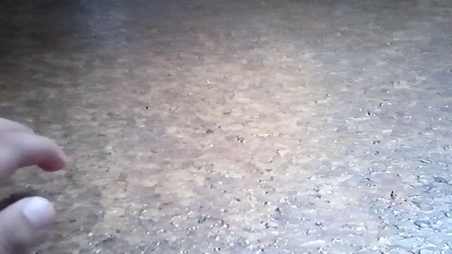 Súper Mario Bros Capítulo 37: Poco quedan las fiestas de Perlío | Español Latino | Temporada 3 смотреть онлайн