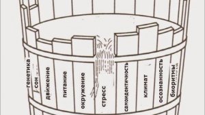 Бочка Либиха