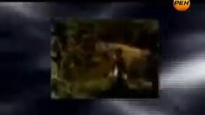 Территория заблуждений с Игорем Прокопенко