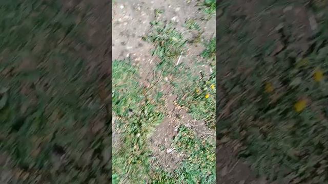 мы 🤡🤡 смотреть онлайн