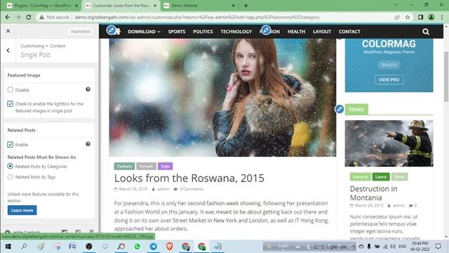How to add Theme, Page, Category, Widget and Customize in WordPress Website смотреть онлайн