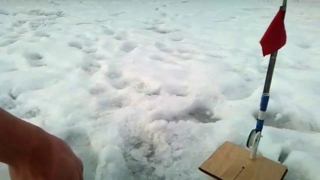 щука вагою 1,2кг смотреть онлайн